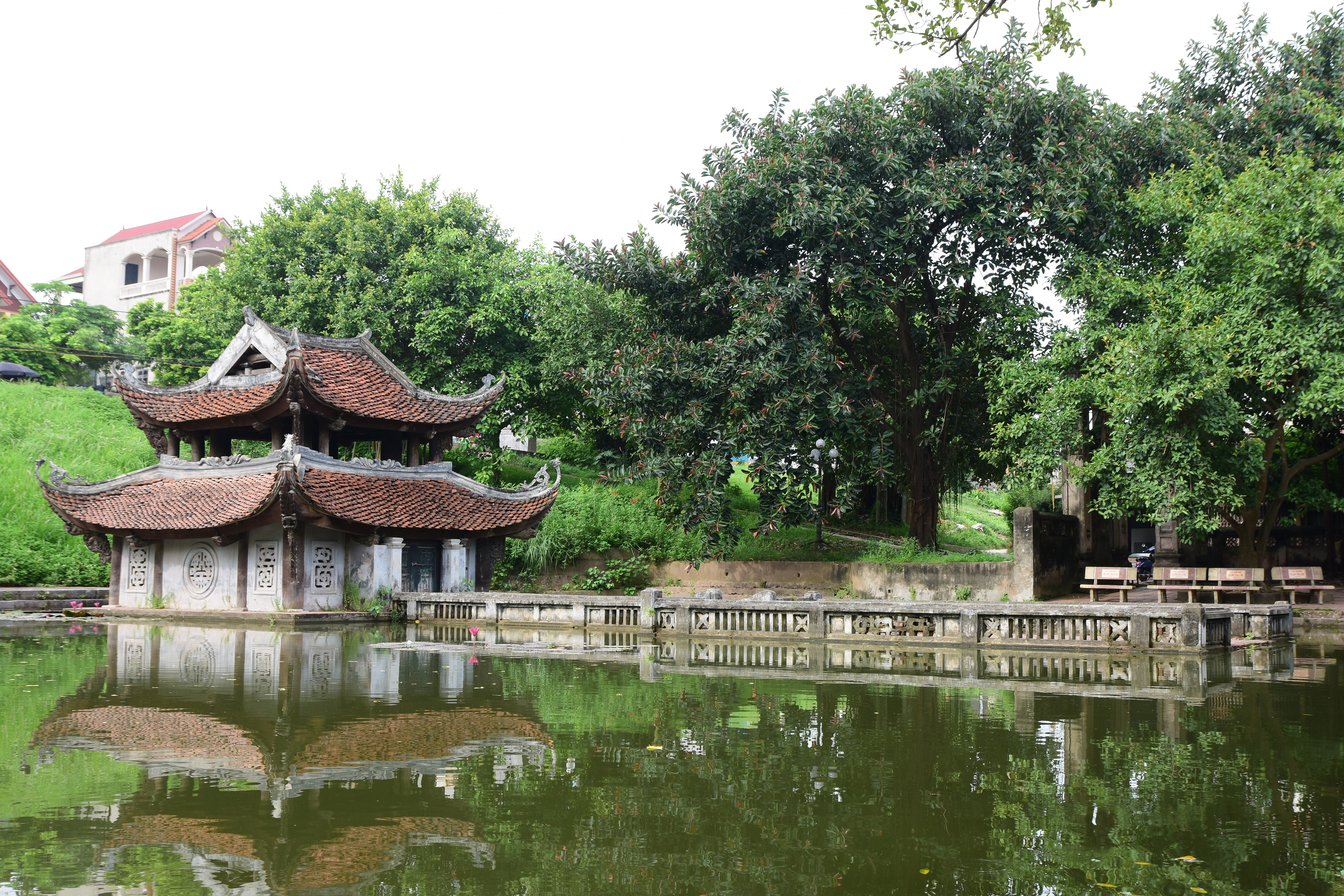 Nguyen An background